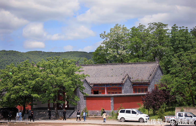 生态园|2021永寿槐花节开幕！逛槐林，咥美食，闻香而动，乡村美景在永寿