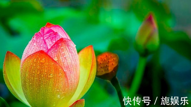 睡眠质量|调理失眠不要总是吃药,牢记1个土方,安睡8小时,一觉到天亮