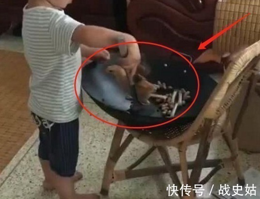 虐待|妈妈给宝宝买了只小鸡,上完厕所回来,孩子的行为让妈妈无法淡定