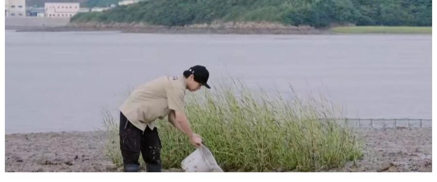 《五哈2》自己挖坑自己跳