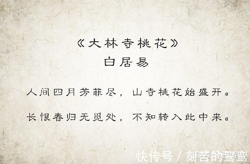 大林寺!白居易最经典的一首诗, 所描写的春光美得令人心醉!