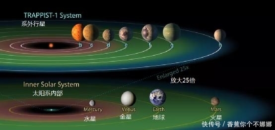 什么植物可以生长在太空中的宜居区?