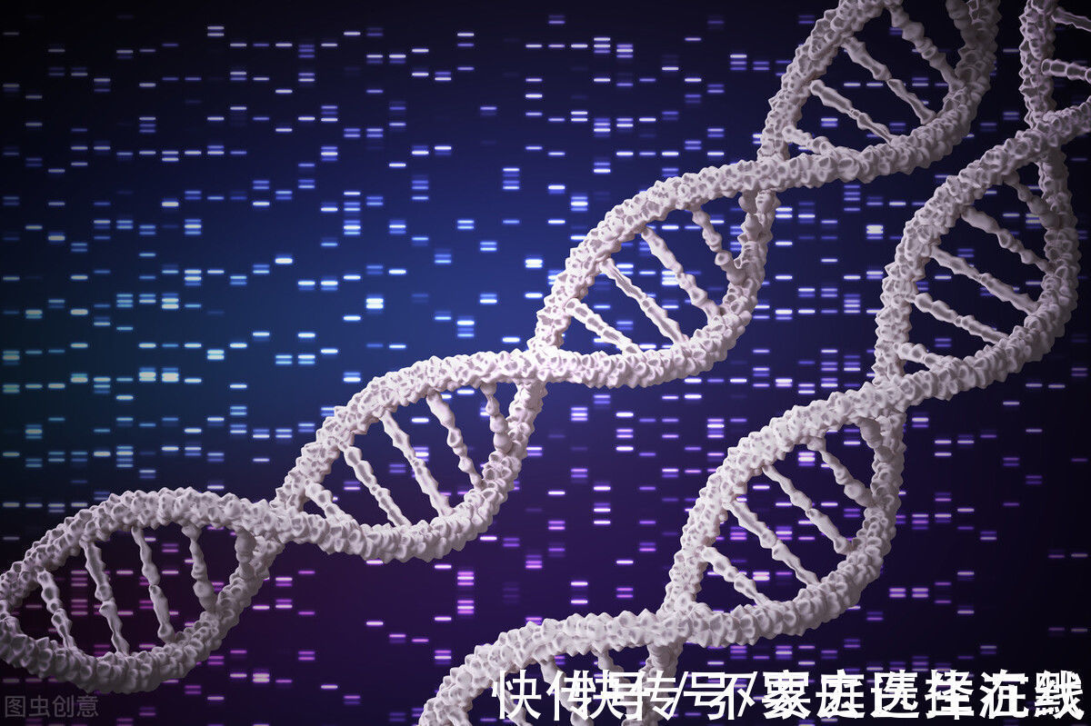 习惯|想健康长寿?先摆脱这些误区再说,牢记这些世界公认的长寿习惯