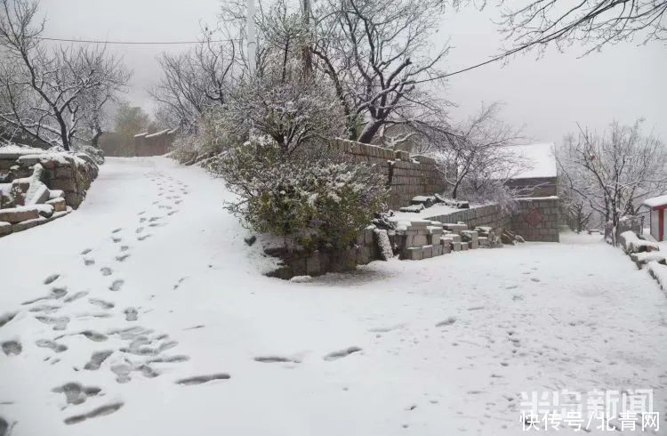 肖枫|你那里是下雨还是下雪？今天，同在青岛，却仿佛不在一个季节...