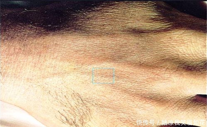 1光年跟1纳米要有多大得差距