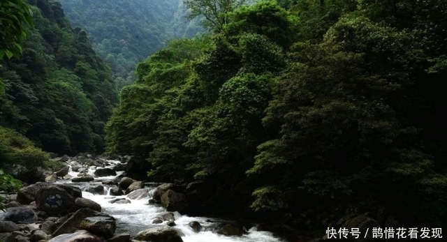 宝库|湖南夏日的“避暑秘境”，人少景美，被称“绿色宝库”