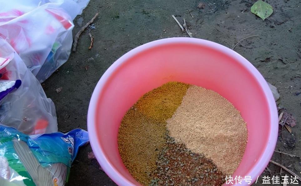 钓友|不知道商品饵怎么开饵及和饵?老钓友教你几招,现在知道还不晚!