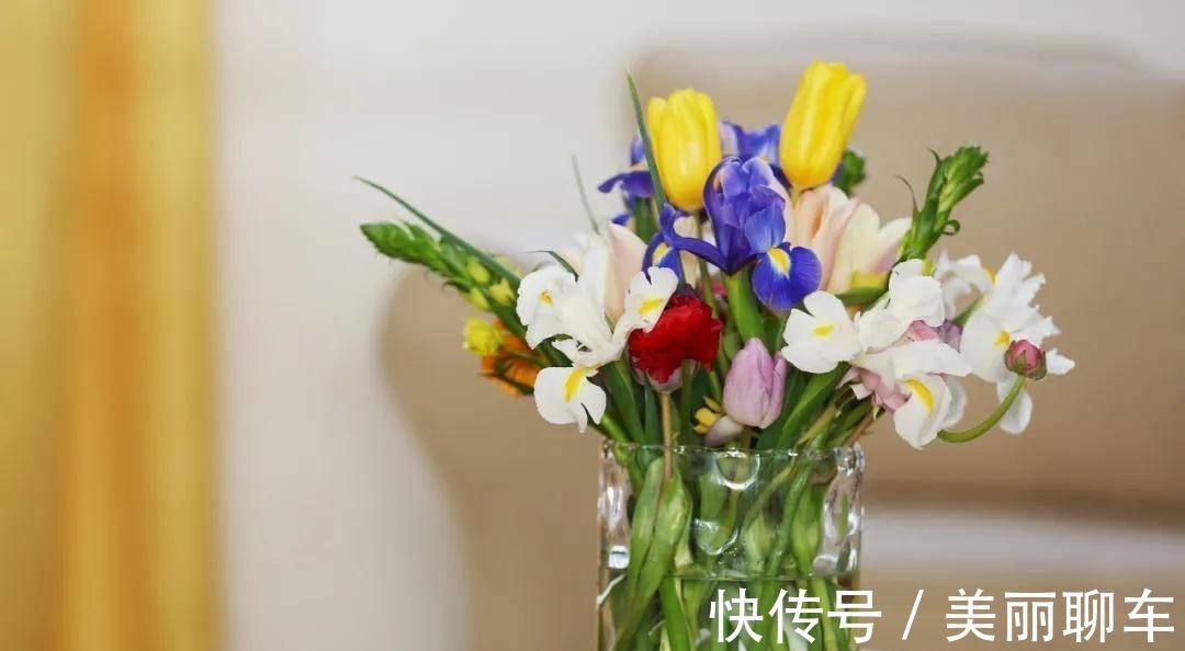 一毛钱的小东西,碾碎了浇花长势壮,扦插生根快,开花一倍