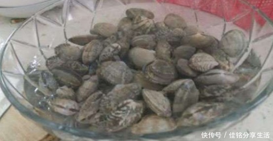吐沙|洗花蛤万万不可只加盐,渔民教你土方法,花蛤疯狂吐沙,很实用