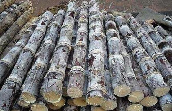 吃甘蔗|南方大妈另类卖甘蔗,原价5元,简单加工后,就卖20元的“天价”