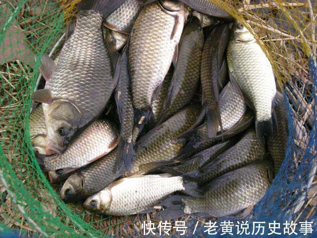 阴天|遇到这2种天气,赶紧去钓鱼,这是难得的“爆护”机会