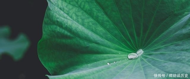 易经:读64卦,有规律可循,只需要3个步骤,就能读懂一个卦