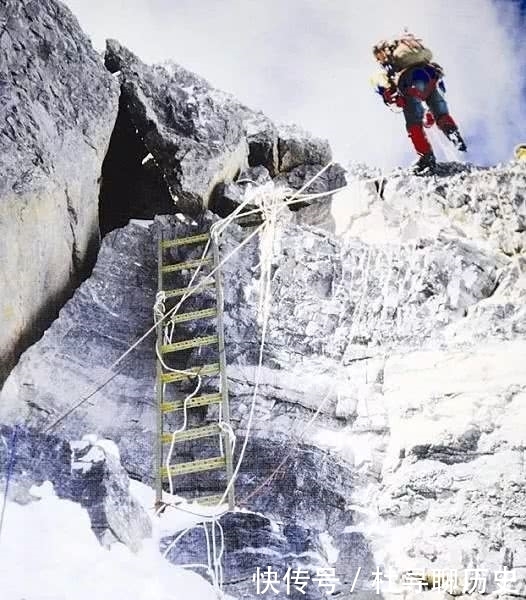 中国登山队队员如何饮冰卧雪，收获大量珍贵标本？