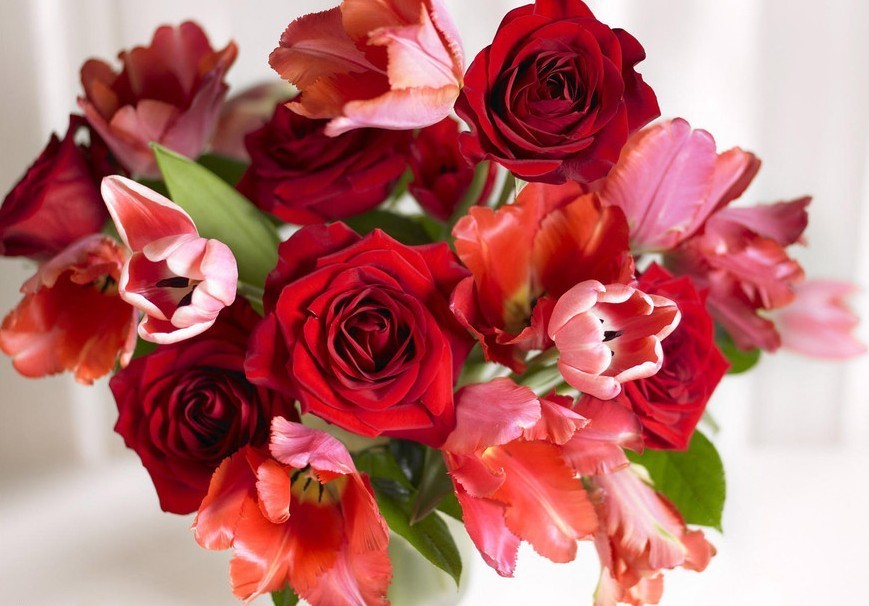 刘媛媛#读书的厚度,决定了人生的高度