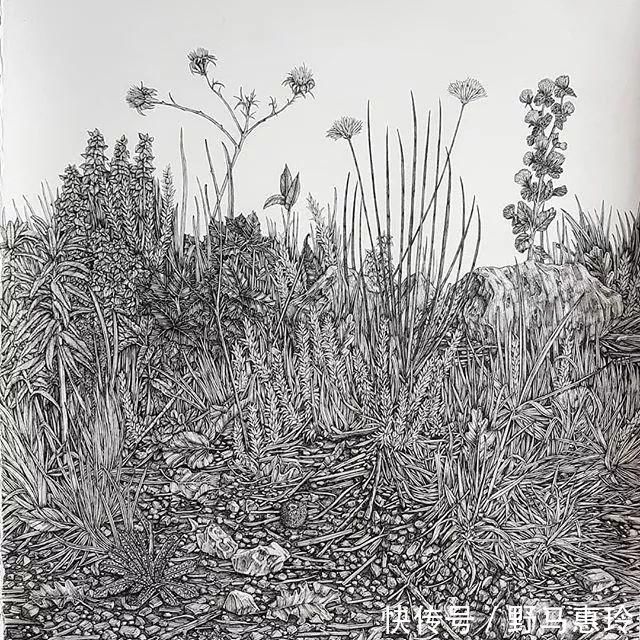 景观#一幅画用掉上百支笔,看到最后成果这么震撼,也就不觉得心疼了