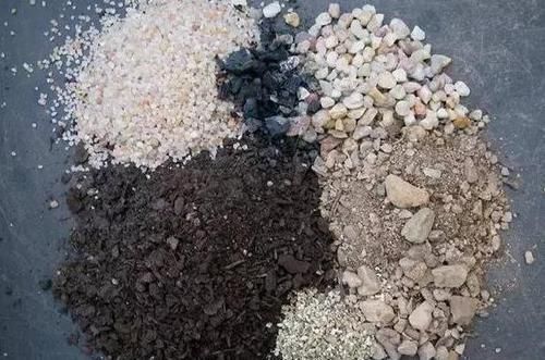 植物|想要酸性土养花该怎么弄兑点它们,喜酸植物不再黄叶掉花苞