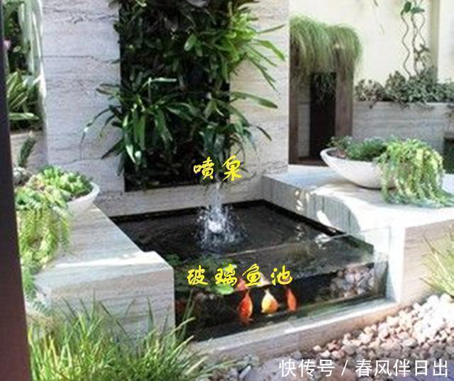 鱼池|若是我家带院子，不会用来种菜，一定要弄个喷泉玻璃鱼池，多亮眼