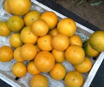 春天氣候干燥，適合吃的食物，淡化色斑，延緩衰老，加速身體代謝