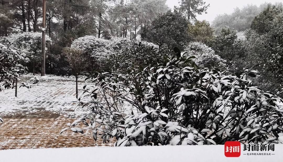 2021年初雪｜自贡人的快乐曾短暂来过，荣县山区一夜之后已银装素裹