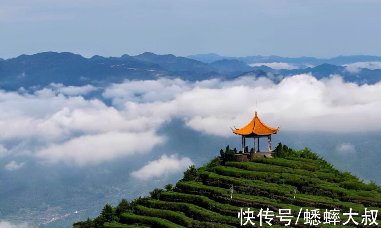 情趣|台州藏了一个自驾休闲胜地，自然情趣十足，适合度假品茗