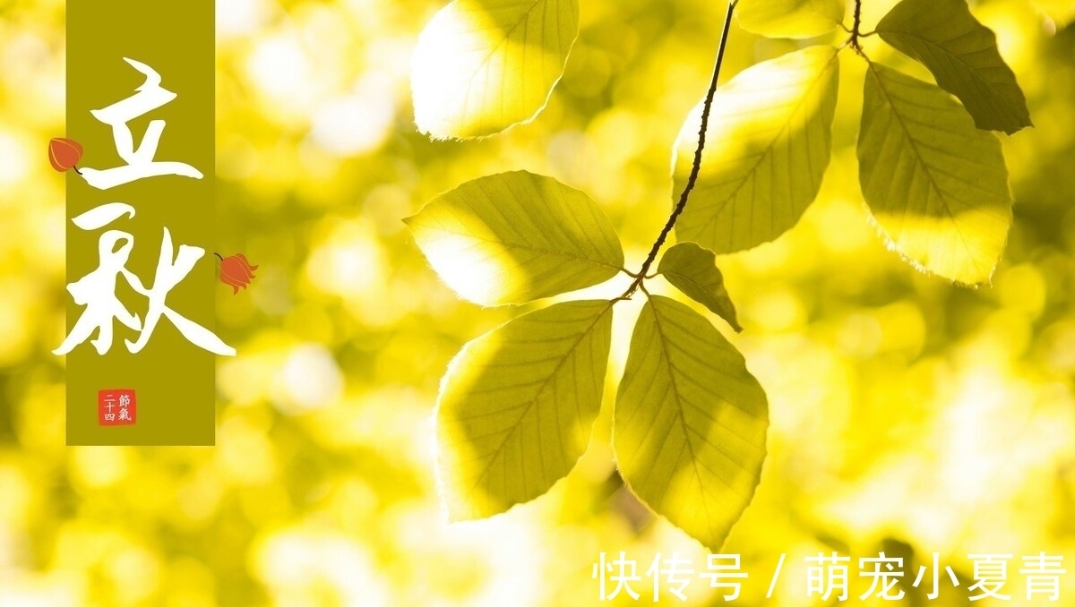 食用|8月7日立秋后多食用这“六宝”,“秋老虎”不打扰,一家老少身体好