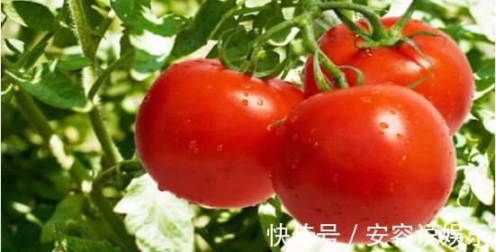 西红柿炒鸡蛋，美味多汁又十分营养，是一道非常常见的家常菜