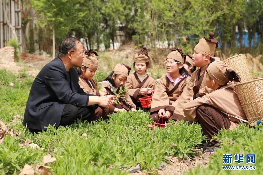 河北沧县：小学生识百草 体验中医药文化