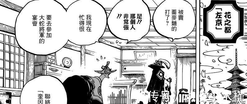 山治|海贼王927话, 又来一个会霸王色的美女, 大蛇真身是龙