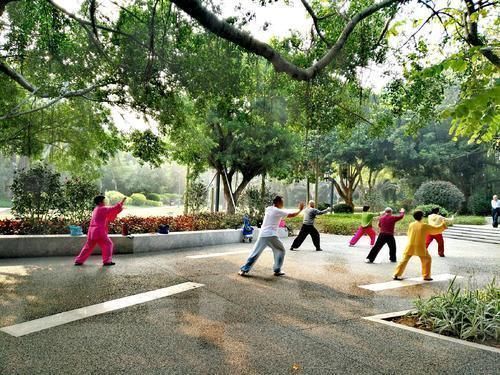 谢老爷子|8旬老人跑步50年,赤膊能跑10公里,年轻人早起为啥这么难?