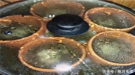 学会这9个扦插绝招，插啥活啥，蹭蹭长出大白根，阳台多的放不下