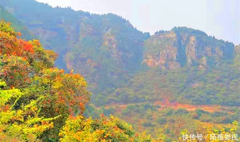 思维|与女儿对话:关于X思维