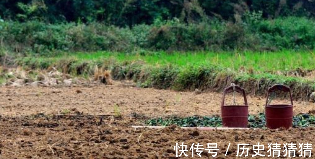 坟头&农民朋友又有事做?“土葬”即将取消,村中的新坟旧坟都要迁走