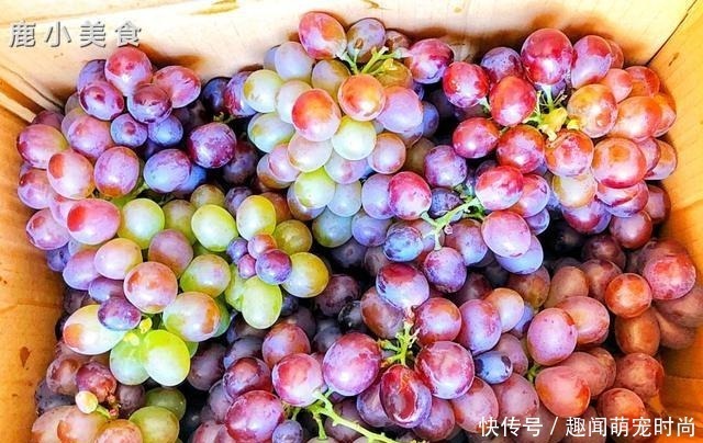小鹿|原来葡萄不能只用盐水洗!果贩教你一招,干净清爽,连皮都能吃