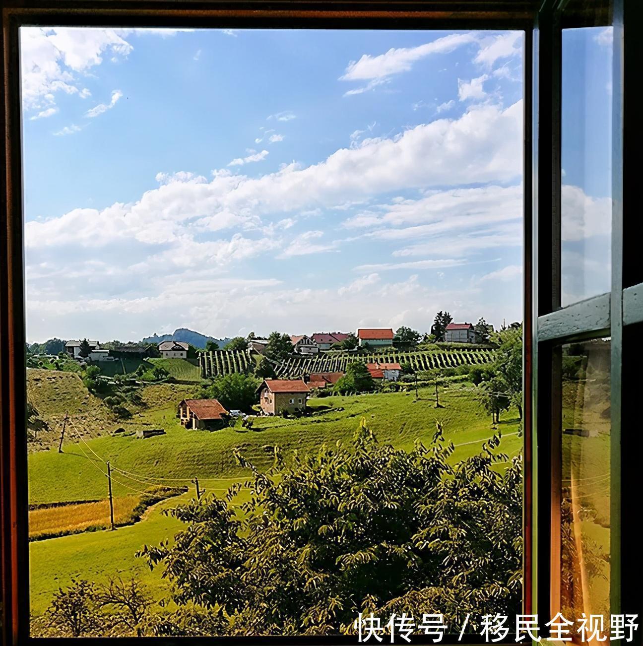 葡萄酒|斯洛文尼亚,葡萄酒乡的微醺时光