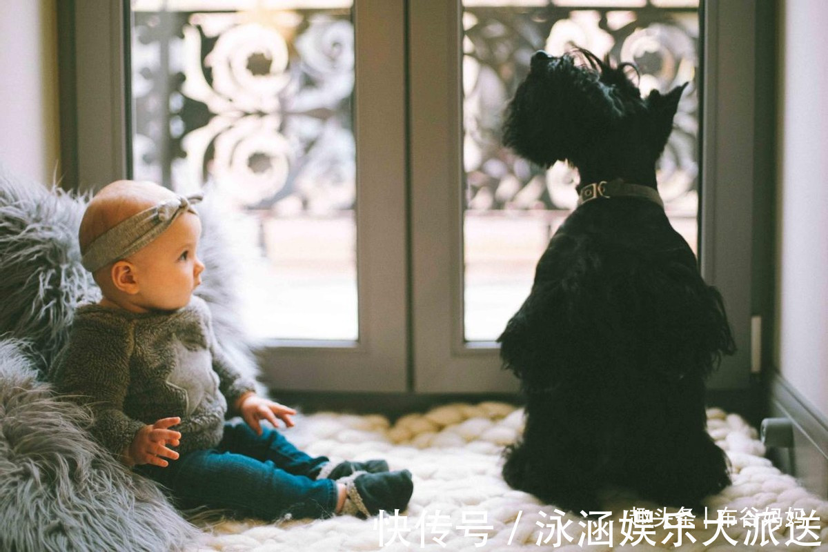 感知觉|宝宝大脑发育咋样,从“手”就能看出来,智商的高低在手上有信号