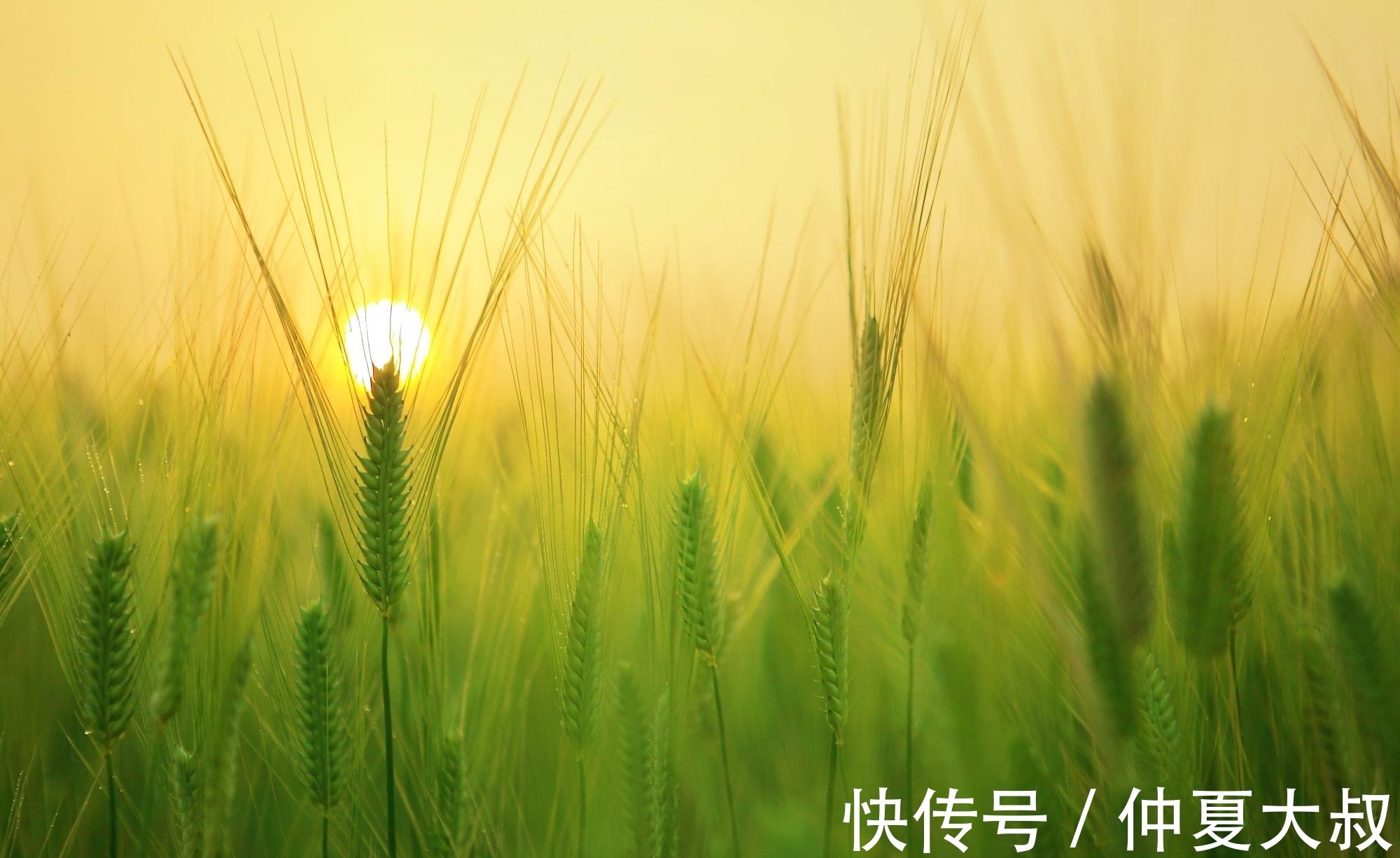 云从龙$10句流传很广的民俗谚语,句句大白话,却讲出基本的为人处世道理