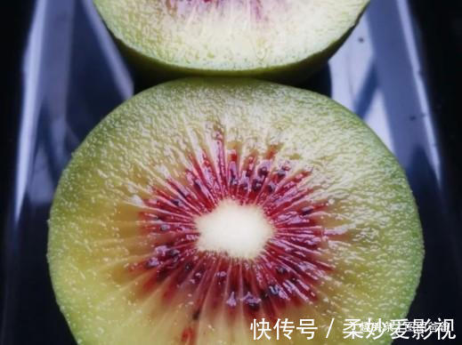 肉蛋类|这些水果是孩子身高的加速剂,医生苦口婆心,多吃才有效果!