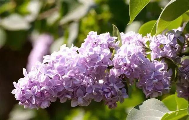 胃会|胃有“三怕”，最好避而远之！多吃三蔬，做好三事，胃会感激你