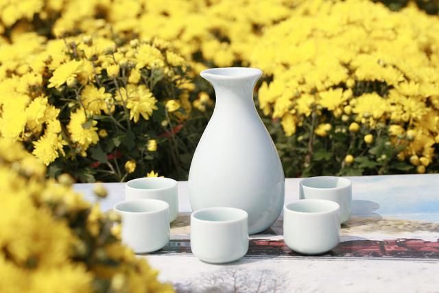 美娇娥#重阳节诗词17首:草木荣枯又一秋，菊前邀饮杯中月