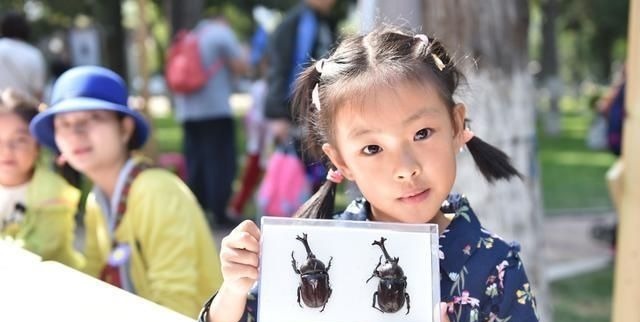 恐龙|4岁女儿画了只小恐龙，吓坏女老师，家长却很高兴