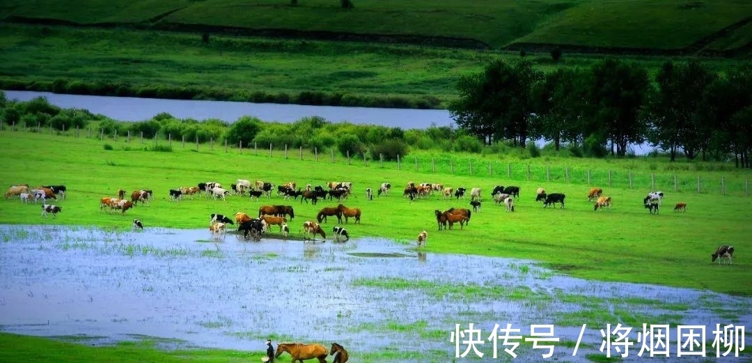 湿地|中国最北城市，被誉为最具旅游目的地，野生动植物多，小众又隐秘