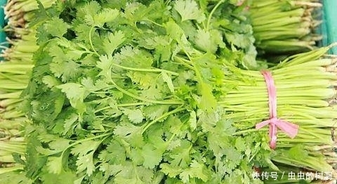 忌口|香菜雖好,但不是人人都能吃,此類人吃了對身體不好,得忌口