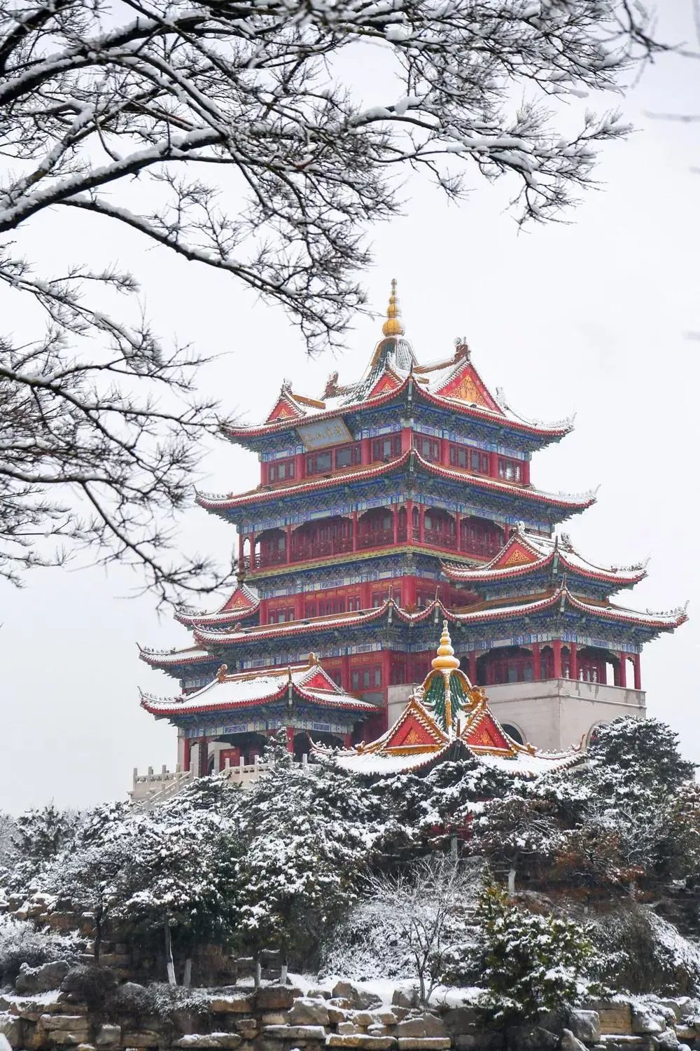 期待|期待一场大雪 邂逅最美山“冬”