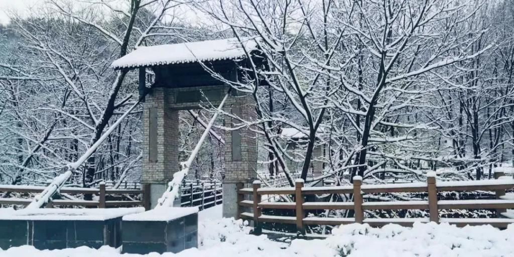 县区|初雪！周边县区雪景美图来袭！