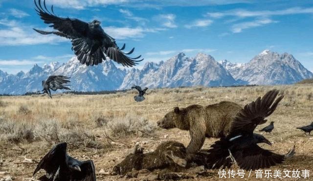 亚历山大|当秦始皇遇到亚历山大,秦军对上马其顿方阵,真的就无还手之力吗