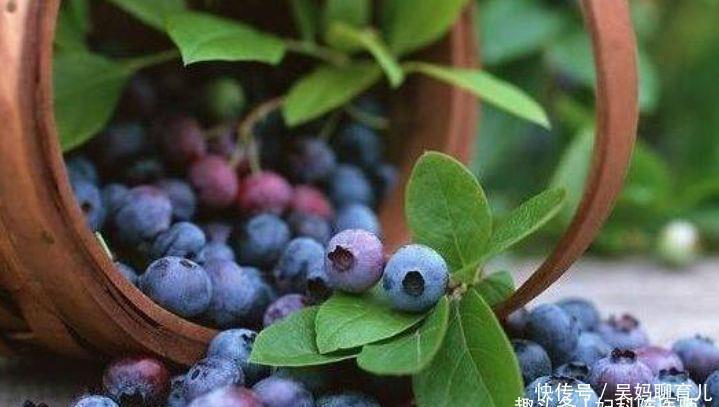 食物|女性常吃以下食物，视力好了，皱纹少了，为了健康不妨试试