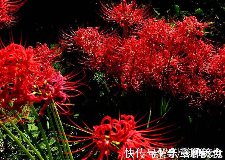 属相兔属兔|“傻人有傻福”的三个生肖女,乐于助人不计得失,晚年健康长寿