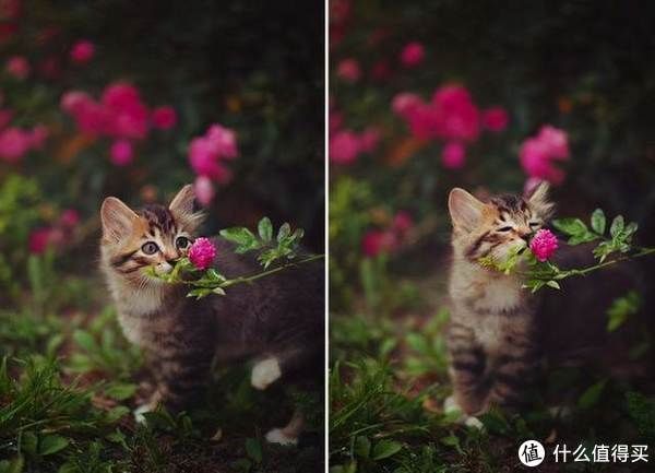 母亲|路过我生命的每个人:每一次的因缘际会,都最终构成了我们本身