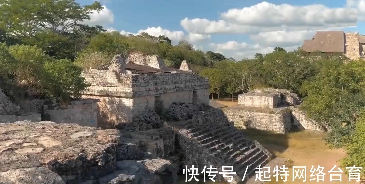 木棉树#一幅神秘古画,至今不知道是横着看,还是竖着看?