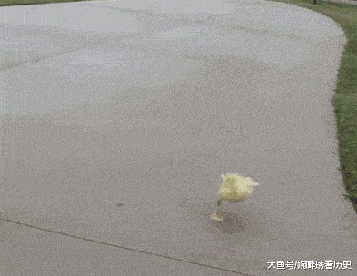 |搞笑GIF趣图: 喵星人是不是感觉哪里有问题啊